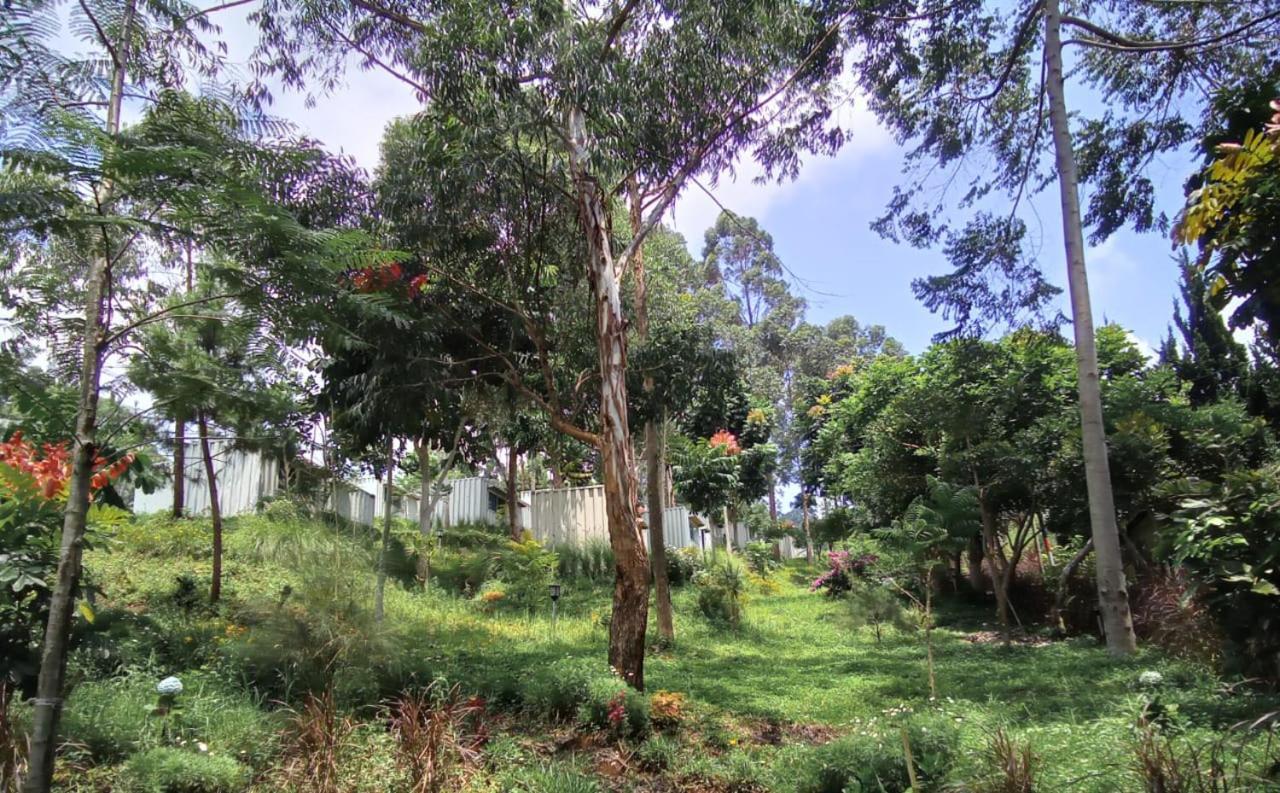 Hotel Bukit Pinus Tegalharendong ภายนอก รูปภาพ