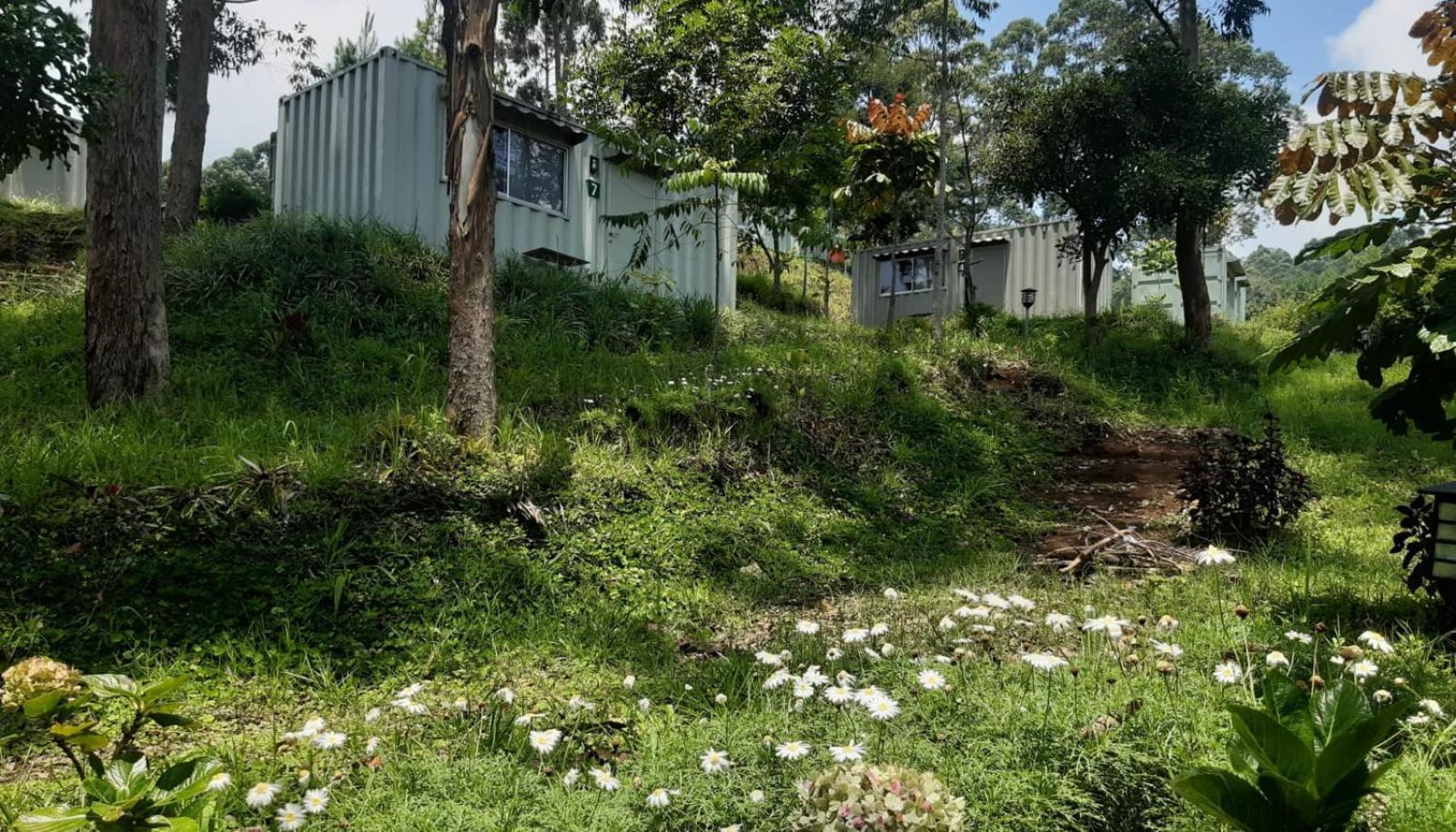 Hotel Bukit Pinus Tegalharendong ภายนอก รูปภาพ