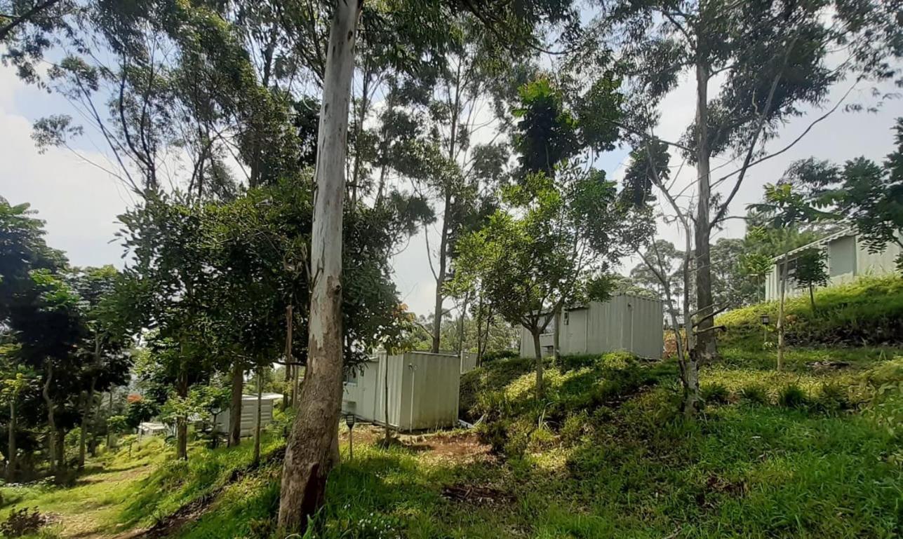 Hotel Bukit Pinus Tegalharendong ภายนอก รูปภาพ